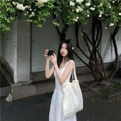 鸽之翼