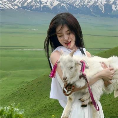 猫儿叫春